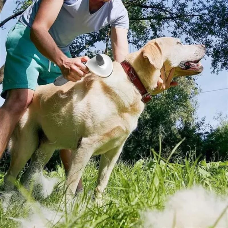 Escova para Pet - Rasqueadeira Removedora de Pelos com Massagem